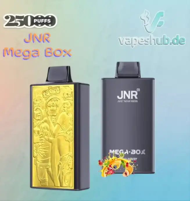 JNR Mega Box 25000 Puffs Premium Disposable Vape
