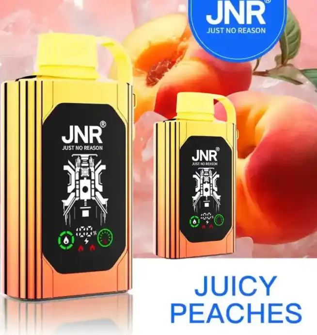 JNR SHISHA BOX 20500 PUFF wiederaufladbare Einweg E-Zigarette