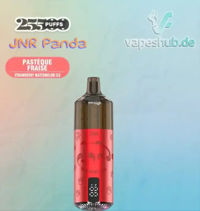 JNR VAPE Panda 25500 PUFFS Disposable Vapes